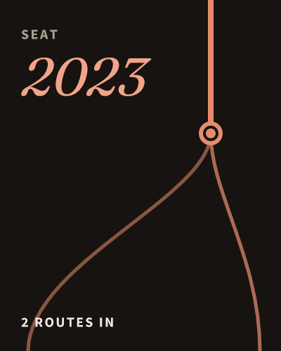 Career lines for Sebastian Welsh: vendor side, engineer or practitioner merging into the SwitchDin seat, appointed December 2023
